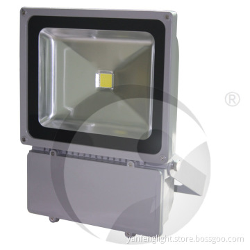 100W Reflector LED Project Lamp, Floodlight